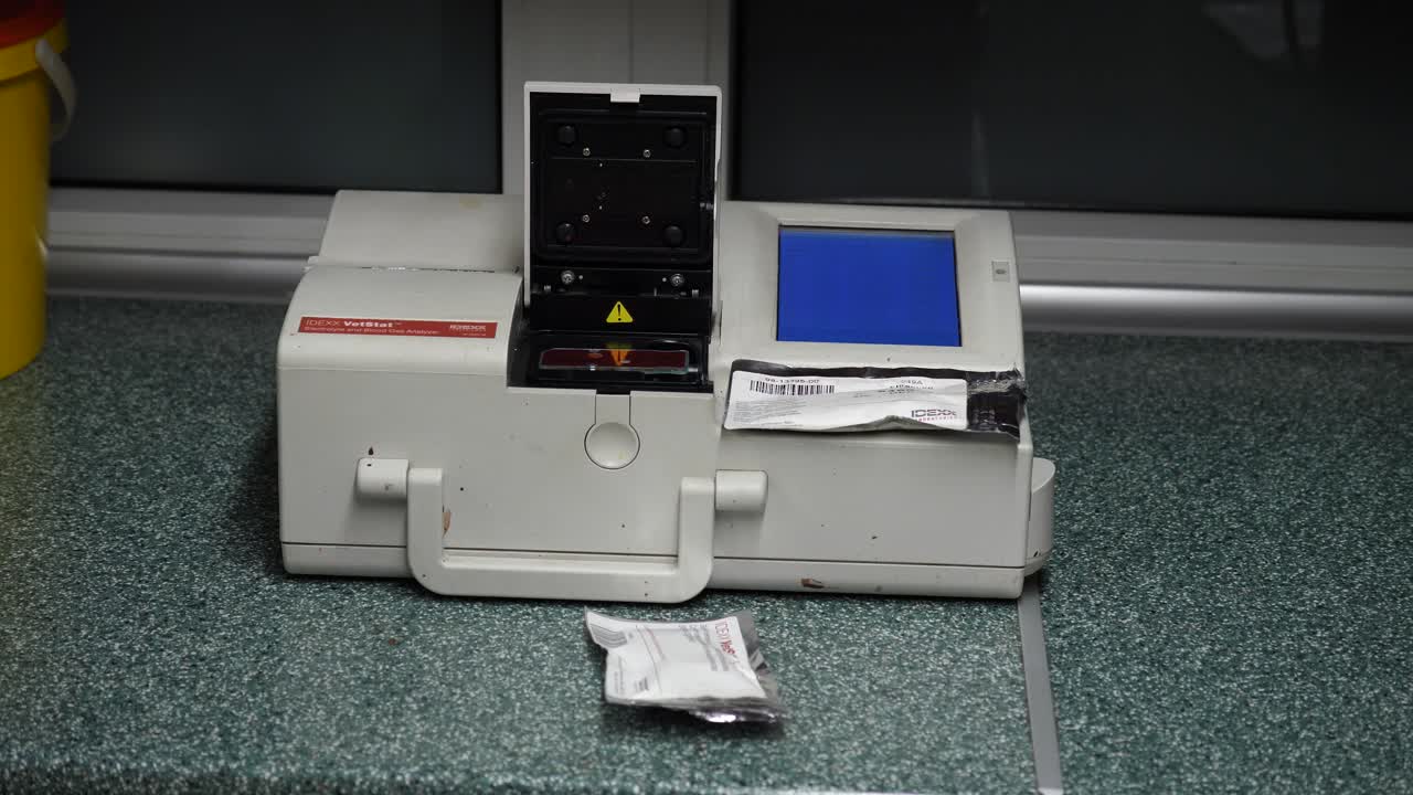 Examinating blood samples using specialistic medical equipment at vet clinic