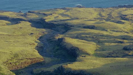 Luftaufnahme-Der-Hawaiianischen-Insel-Maui-Und-Ihrer-Sanften-Grünen-Hügellandschaft-Und-Flussbetten