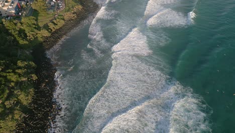 vistas aéreas de los surfistas en burleigh heads al amanecer, gold coast, queensland, australia