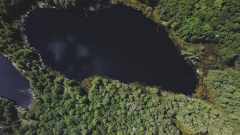 Top-down-drone-view-on-remote-lakes-surrounded-by-woods-and-trees-with-beautiful-reflections