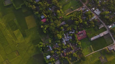 aerial landscape view of farmland and small village in bangladesh