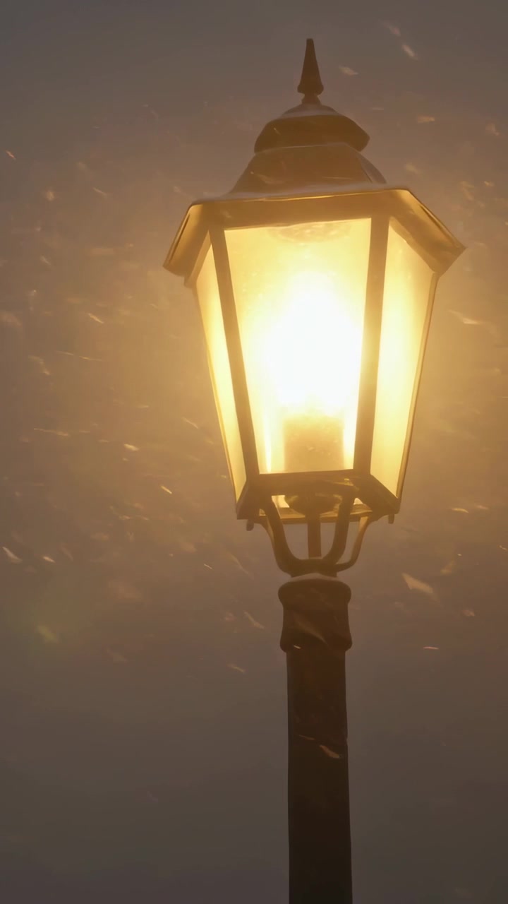 Video verticale: Telecamera in panoramica che centra una lanterna ornata in un parco, con una lampadina accesa che illumina la neve, spazio per il testo.