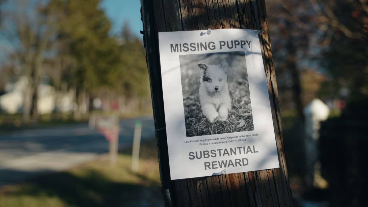 Cartaz de cachorro desaparecido em poste de madeira em bairro suburbano tranquilo com aviso de recompensa por informações sobre o cão perdido