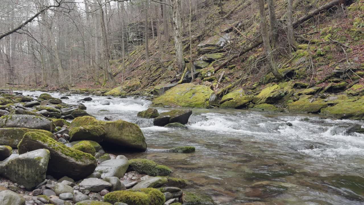 A beautiful fishing stream in New York's Catskill Mountains on a rainy early spring day