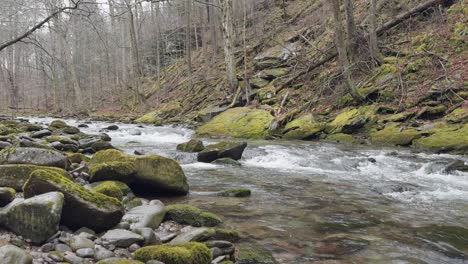 a beautiful fishing stream in new york's catskill mountains on a rainy early spring day