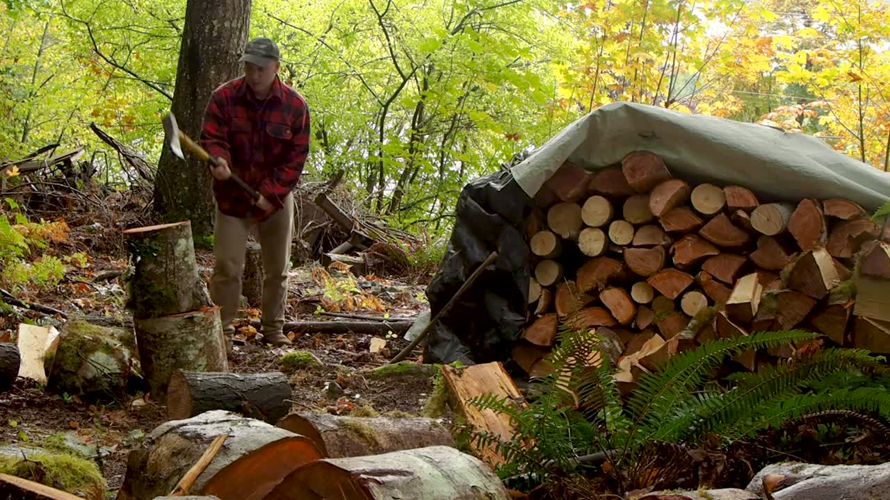 Chopping firewood in a rainforest in BC with an axe