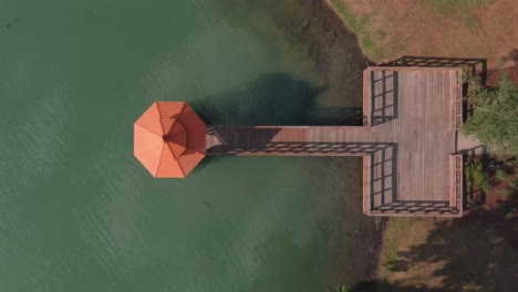 Birds-eye-view-of-canopy-in-Lake-water