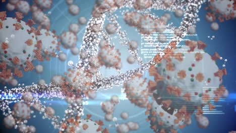 Animación-De-Células-De-Coronavirus-Que-Se-Extienden-Sobre-Una-Cadena-De-Adn-Girando-Sobre-Fondo-Azul.