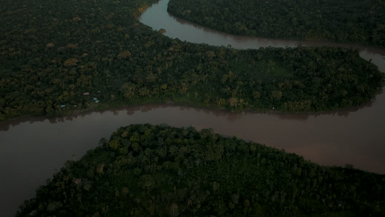 vista superior de árboles naturales tropicales con río tropical en ecuador