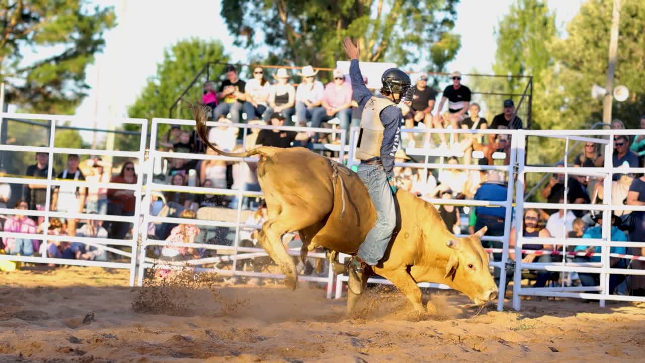 A skilled rider maintains balance on a bucking bull, showcasing agility and control in a lively arena setting.