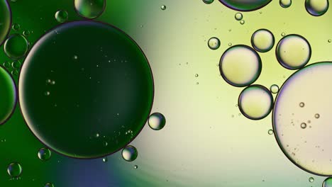 abstract colorful food oil drops bubbles and spheres flowing