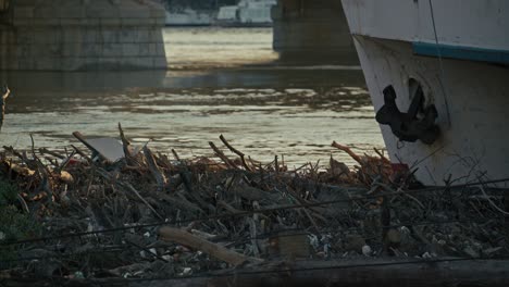 debris piled on riverside near a boat, with bridge and water in the background, budapest, hungary