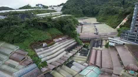 general landscape view of the brinchang district within the cameron highlands area of malaysia