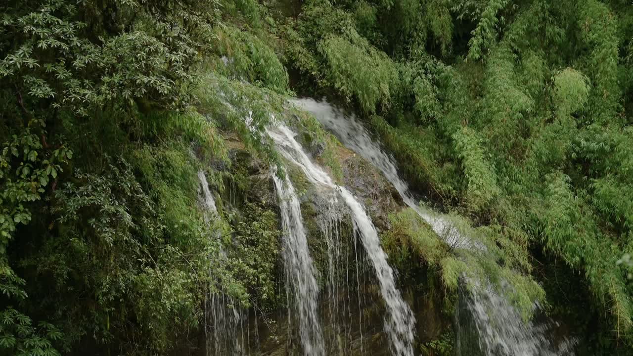 Forest Waterfall in Rugged Mountains, Close Up Nature Shot of Waterfalls Falling off Rocks in a Green Forest of Trees in Himalayas Mountains Scenery in Nepal