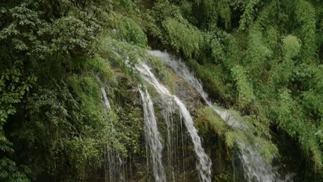 forest waterfall in rugged mountains, close up nature shot of waterfalls falling off rocks in a green forest of trees in himalayas mountains scenery in nepal