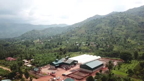 manufacture of food production - coffee