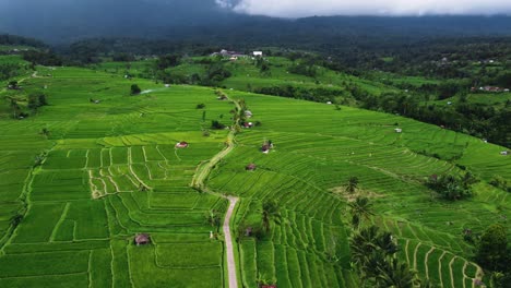 Aerial-view-of-the-Jatiluwih-terraces-ricefield-at-sunrise