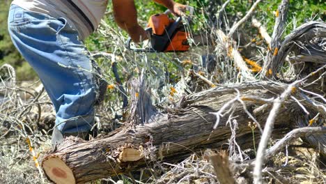 cutting wood with saw