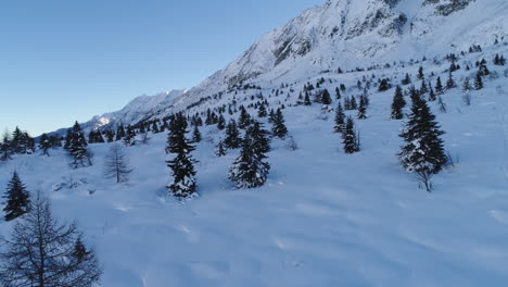 Picturesque-view-snowy-landscape-valley-with-pine-trees-extending-in-the-distance