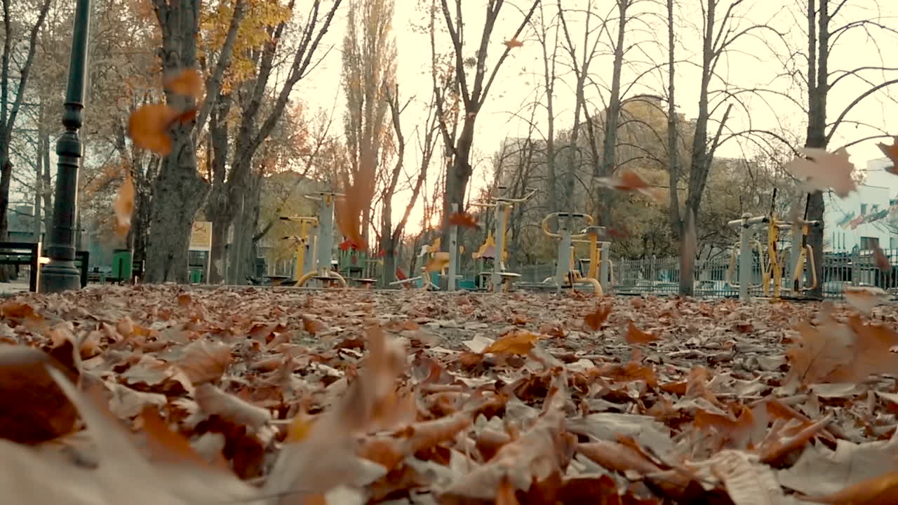 Dried up leaves falling on the ground in a park