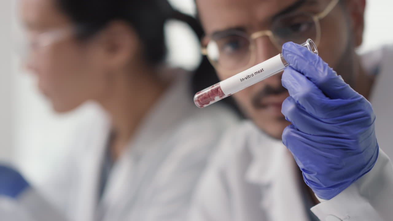 Scientists Examining In-Vitro Meat Sample in Lab