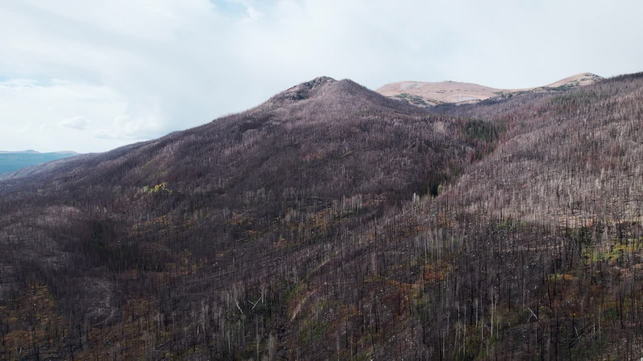 video aéreo de las secuelas del bosque de cameron peak
