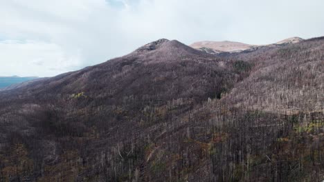 Luftvideo-Der-Folgen-Des-Cameron-Peak-Forest