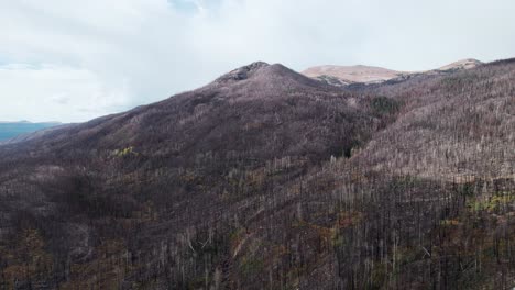aerial video of aftermath of cameron peak forest