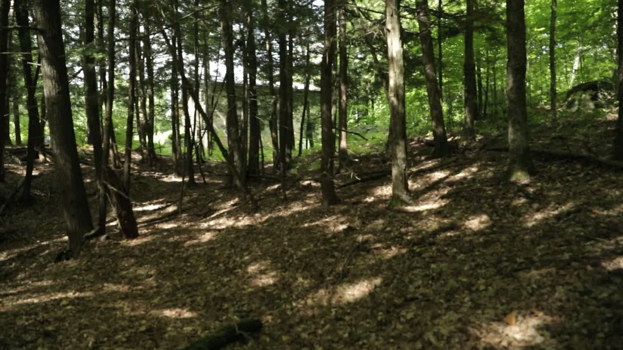 caminando por el bosque en el centro de eventos le belvédère en wakefield, quebec