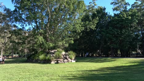 people walking through lush, green park area