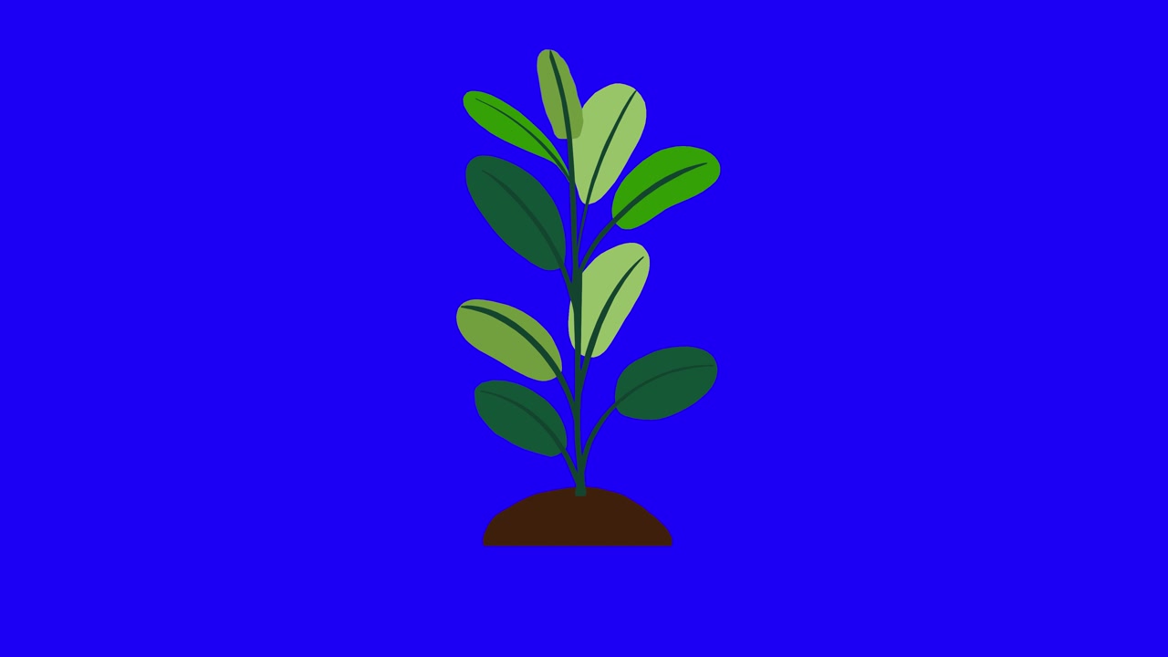 Planta com 9 folhas cresce e germina em um montículo de terra em fundo azul.