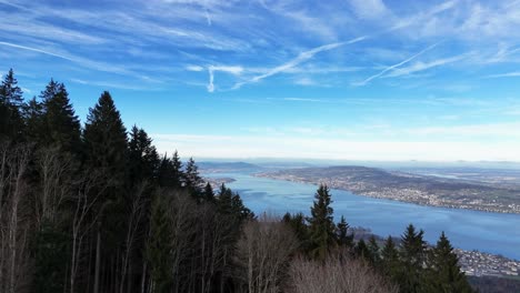 flying above conifer forest treetops and reveal of city near lake zurich