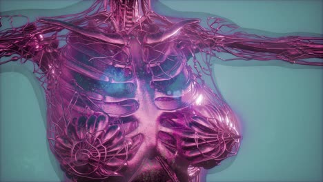 radiografía de mamografía para el diagnóstico del cáncer de mama