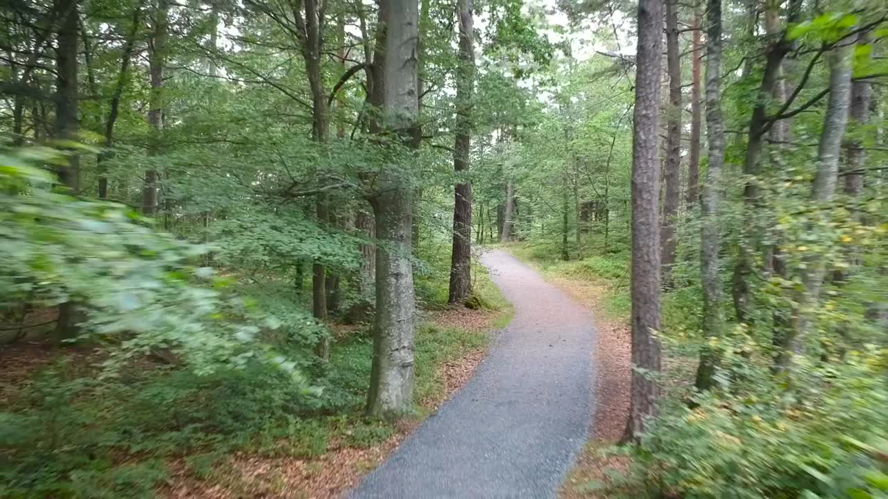 Drone capturing a small road in the late summer-fall trees.
