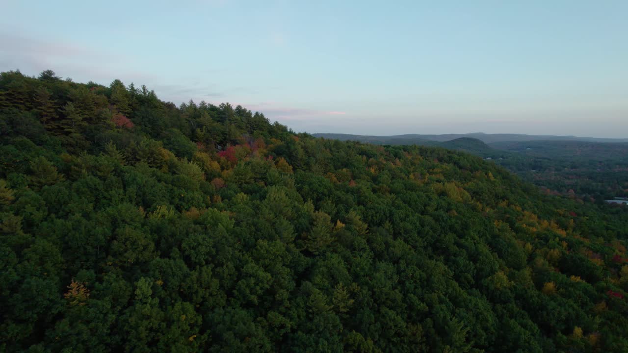 Aerial of trees in a forest on the top of a mountain surrounded by fall foliage and greenery