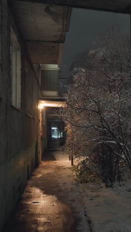 la entrada del edificio residencial iluminada por una cálida luz amarilla, rodeada de arbustos cubiertos de nieve, árboles helados y coches estacionados, creando una acogedora noche de invierno