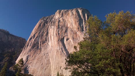 tight tilting up shot of el capitan rock