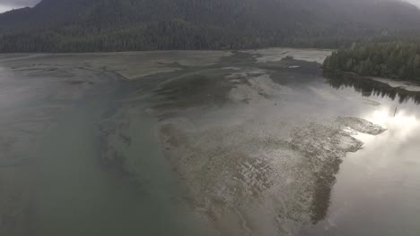 tofino, vancouver island, british columbia