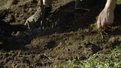 tilling ground into loose dirt with short hoe, close-up