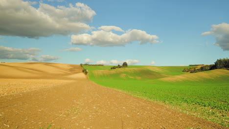 fields where many crops are grown all year round in moravian tuscany during autumn
