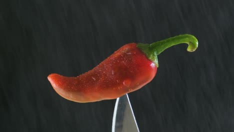 a red chili pepper on a knife tip in a spray of water