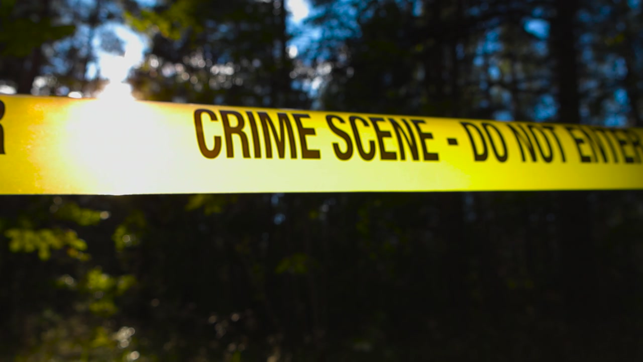 Close up descending view of bright yellow crime scene tape line set across bokeh sunny wooded area. Backlit police tape marking investigation site, sunlight filtering through tall shaded forest trees