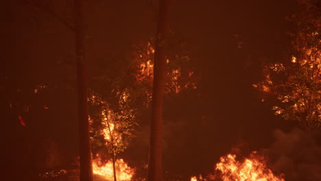 incendio forestal por la noche