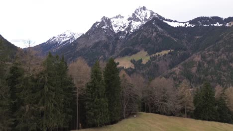 Aerial-view-of-drone-fly-towards-pine-forest-with-snow-capped-mountain-in-background-in-Vorarlberg,-Austria