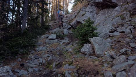 hiker climbing on rocks trough forest reveal kananaskis alberta canada