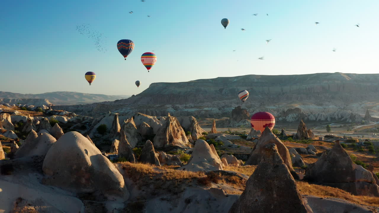 bandada de pájaros vuela sobre el paisaje de turquía con globos aerostáticos flotando en el fondo