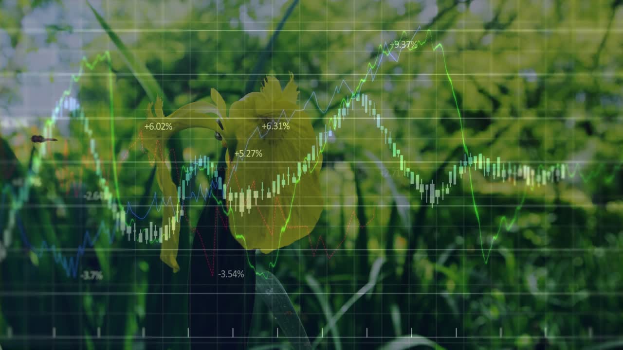 Translucent grid fading in, colored line graphs tracing financial trends behind yellow bloom