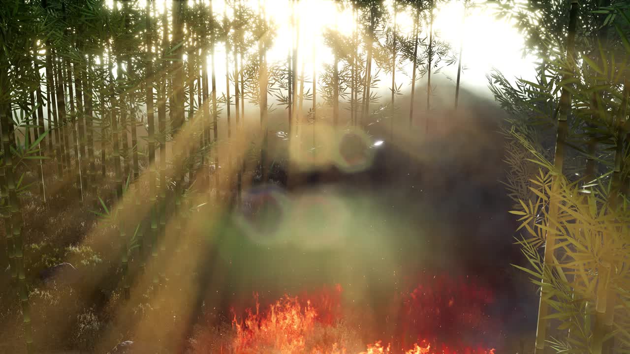 산불 도중 불타는 대나무 에 바람 이 불고 있다