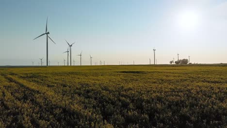 Gesamtansicht-Von-Windkraftanlagen-In-Ländlicher-Landschaft-Mit-Wolkenlosem-Himmel