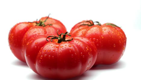 tomates rojos (en bucle)